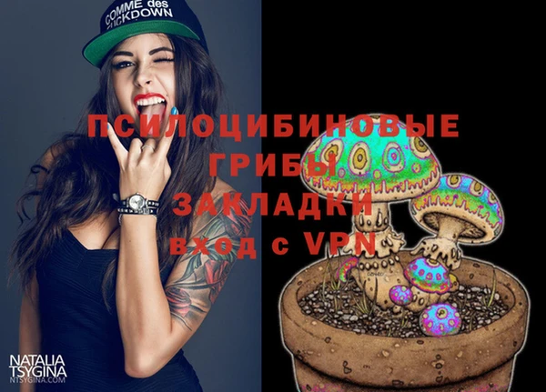 молекула духа Алзамай