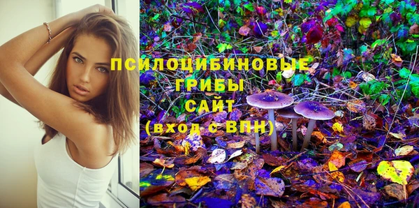 молекула духа Алзамай