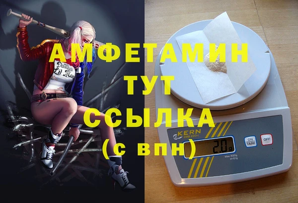 молекула духа Алзамай